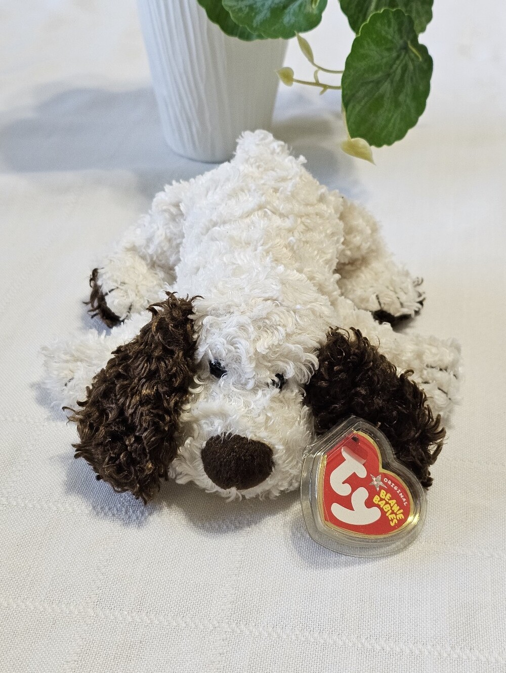 TY Beanie Baby - SPUDS the Dog (8 Inch) MWMTs Plush Stuffed Animal Toy